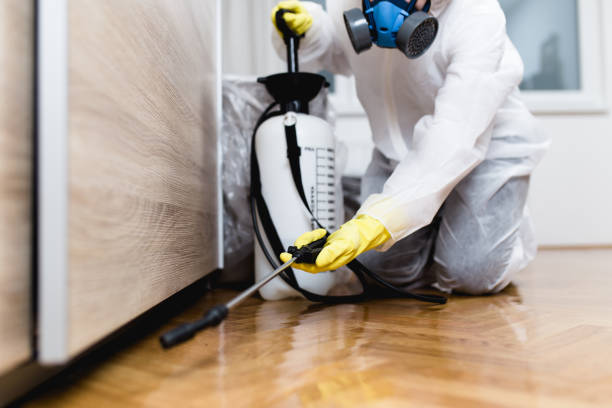Best Pest Prevention Services  in Ingleside, TX