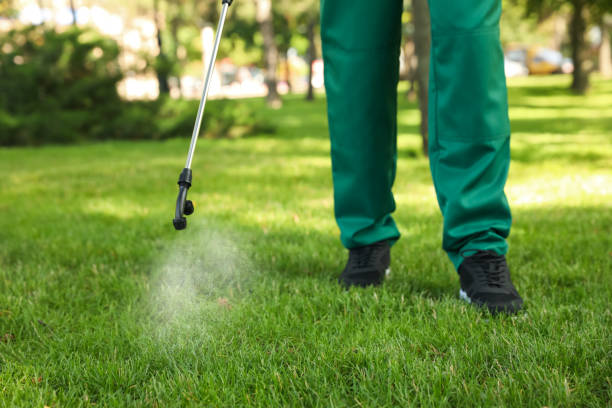 Best Termite Control Services  in Ingleside, TX