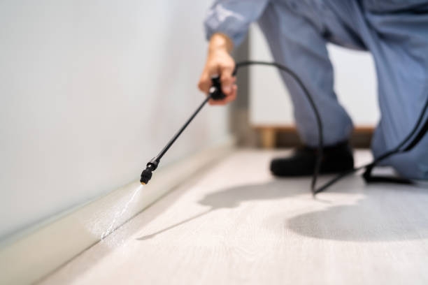 Flea Control Services in Ingleside, TX