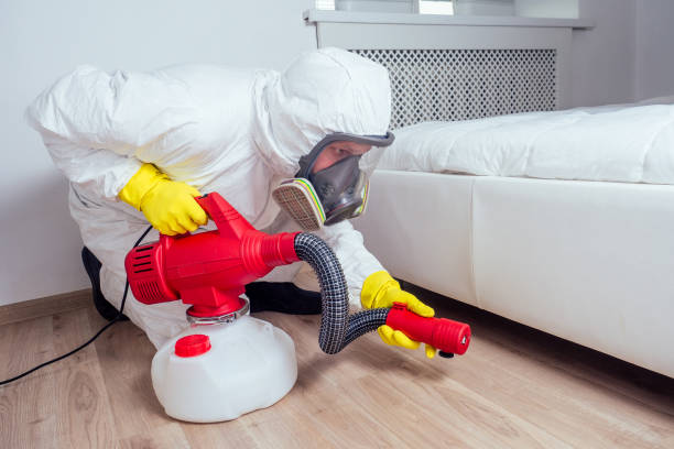 Reliable Ingleside, TX Pest Control Solutions
