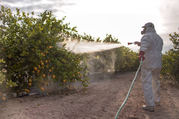 Best Emergency Pest Control  in Ingleside, TX