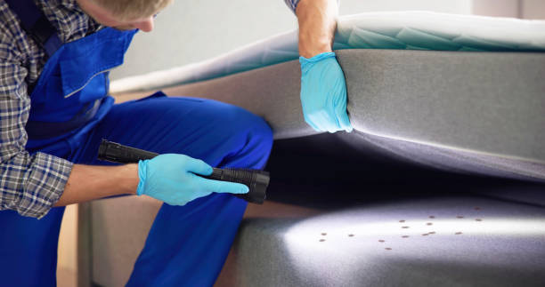 Best Residential Pest Control  in Ingleside, TX
