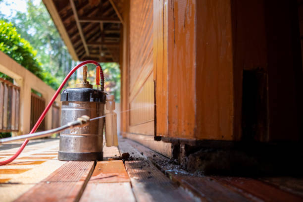 Best Mosquito Control Services  in Ingleside, TX