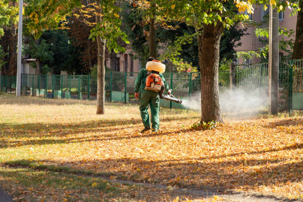 Best Emergency Pest Control  in Ingleside, TX