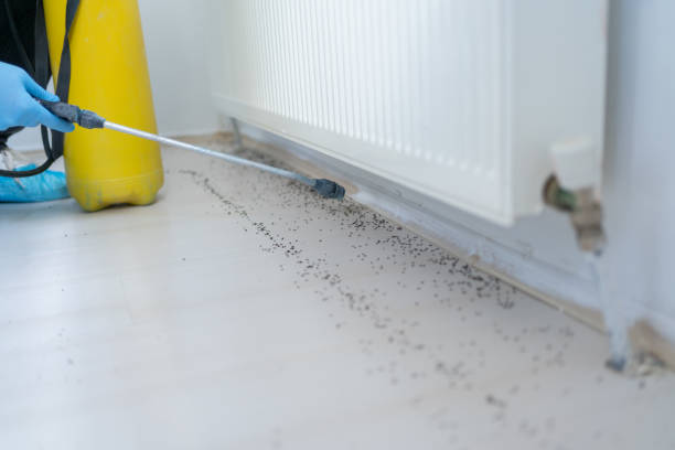 Pest Prevention Services in Ingleside, TX