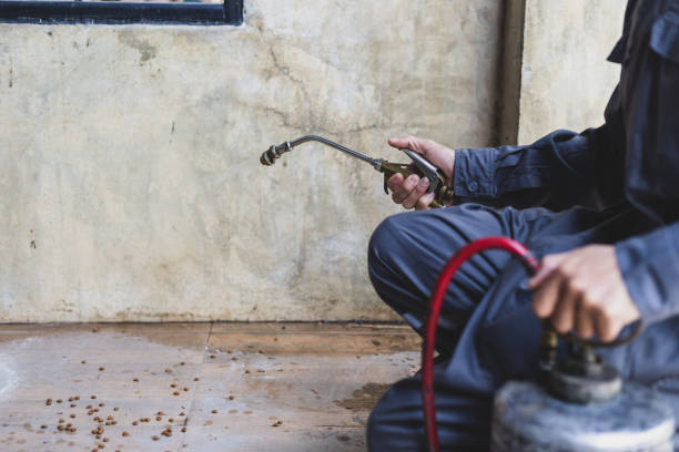 Best Pest Inspection Near Me  in Ingleside, TX